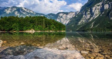 Der Bohinjsko jezero