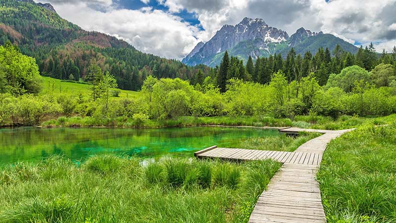 Das Naturschutzgebiet Zelenci