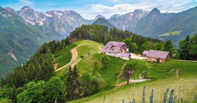 Ferienhaus in der Bela krajina buchen