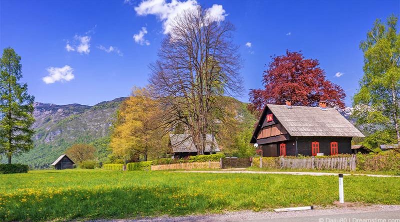 Ferienhaus im Ferienpark in Slowenien finden