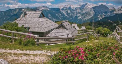 Ferienhaus in der Krain buchen