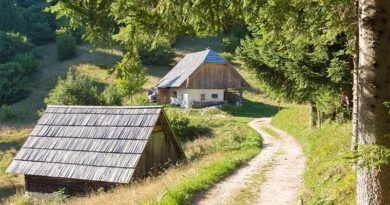 Ferienhaus in der Untersteiermark buchen